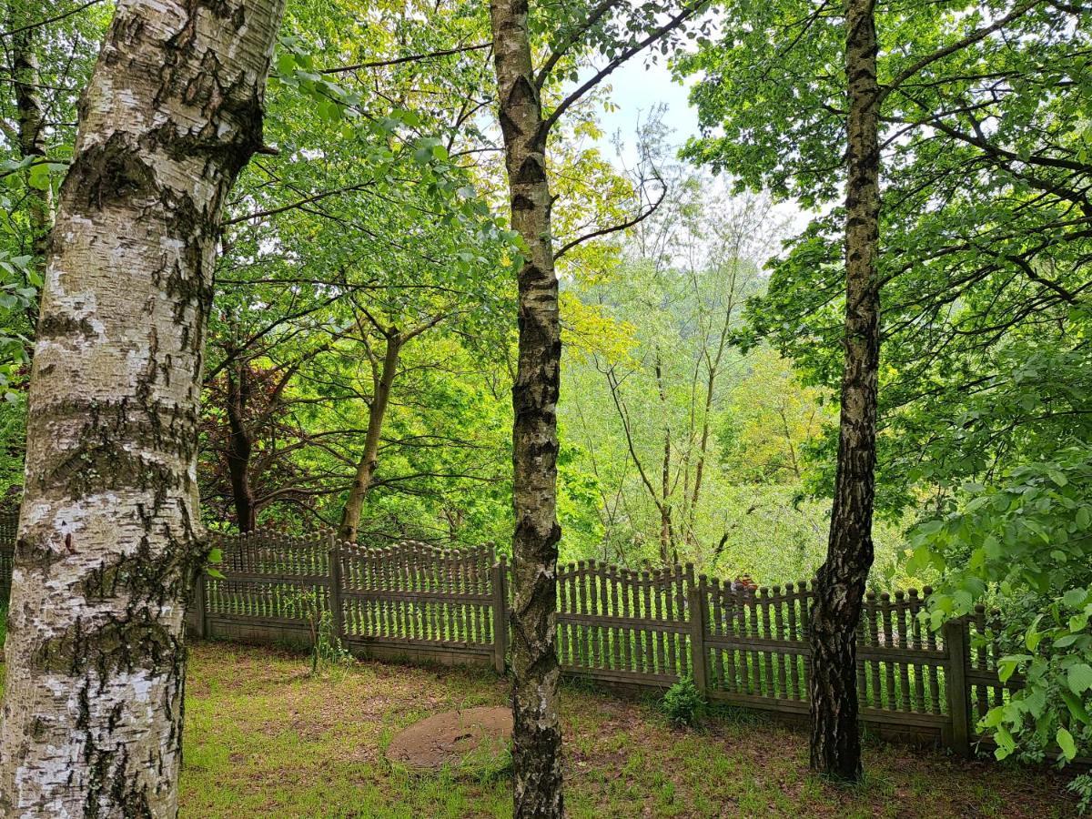 Brzozowy Zakatek *