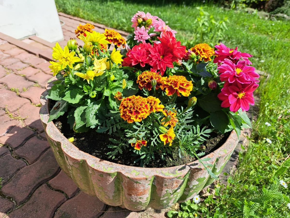 Brzozowy Zakatek Holiday home Bochnia